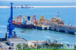 恒力股份著力推進(jìn)煉化一體化項(xiàng)目建設(shè) 謀求多方共贏