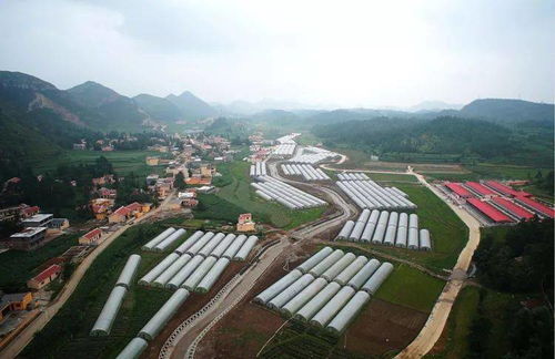 山海相連共筑夢——大連產(chǎn)業(yè)助力六盤水脫貧攻堅紀(jì)實