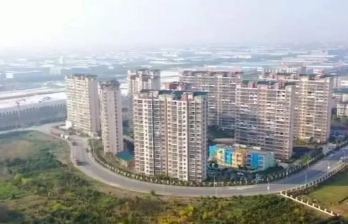 大連新春搶開局 新特產(chǎn)業(yè)加速跑